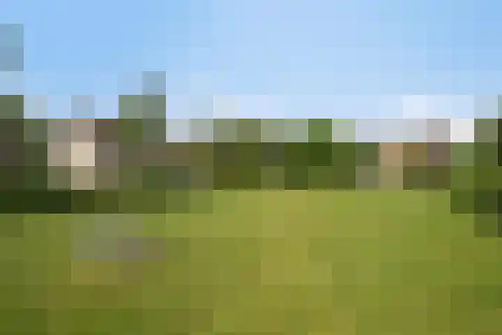De Vlaskam 7 Dinteloord thumbnail 59
