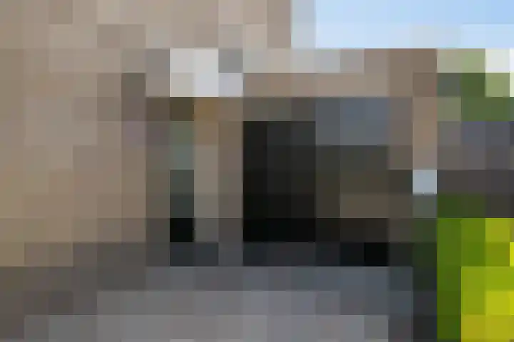 De Vlaskam 7 Dinteloord thumbnail 61