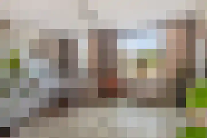 De Vlaskam 7 Dinteloord thumbnail 7