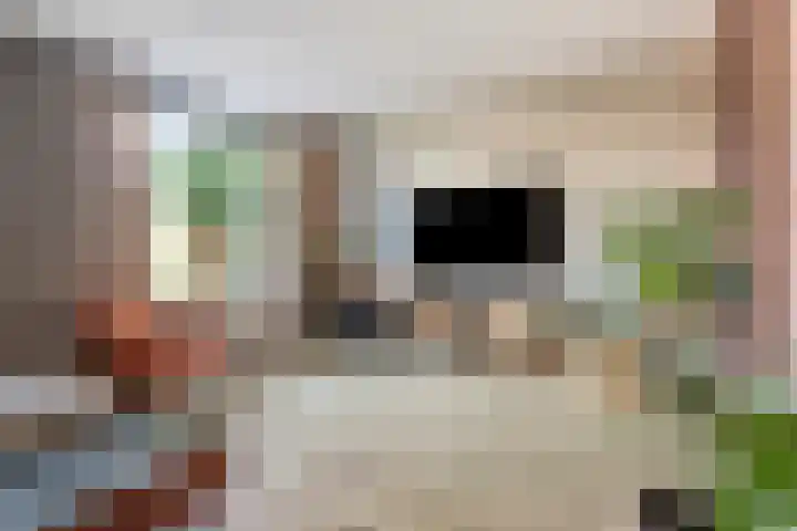 De Vlaskam 7 Dinteloord thumbnail 9
