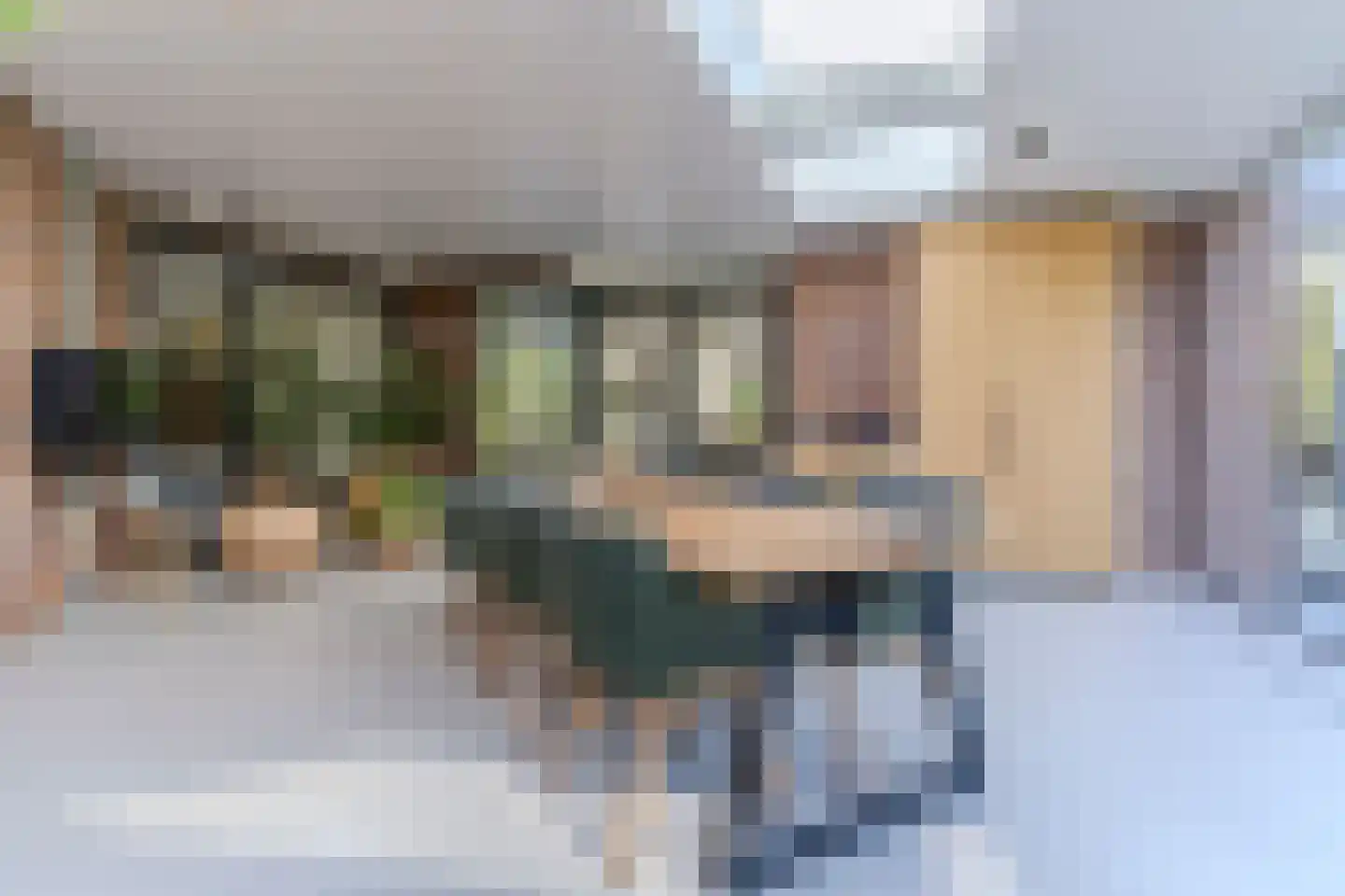 De Vlasroot 10 Valkenswaard thumbnail 21