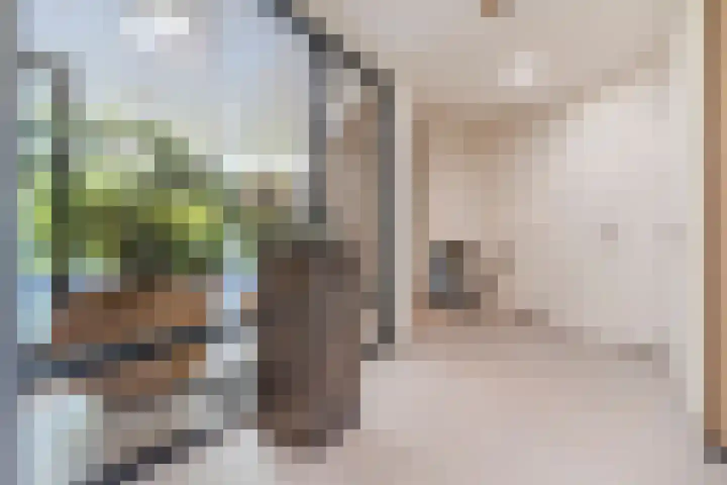 De Vlasroot 10 Valkenswaard thumbnail 30