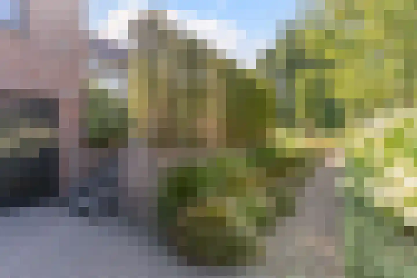 De Vlasroot 10 Valkenswaard thumbnail 41