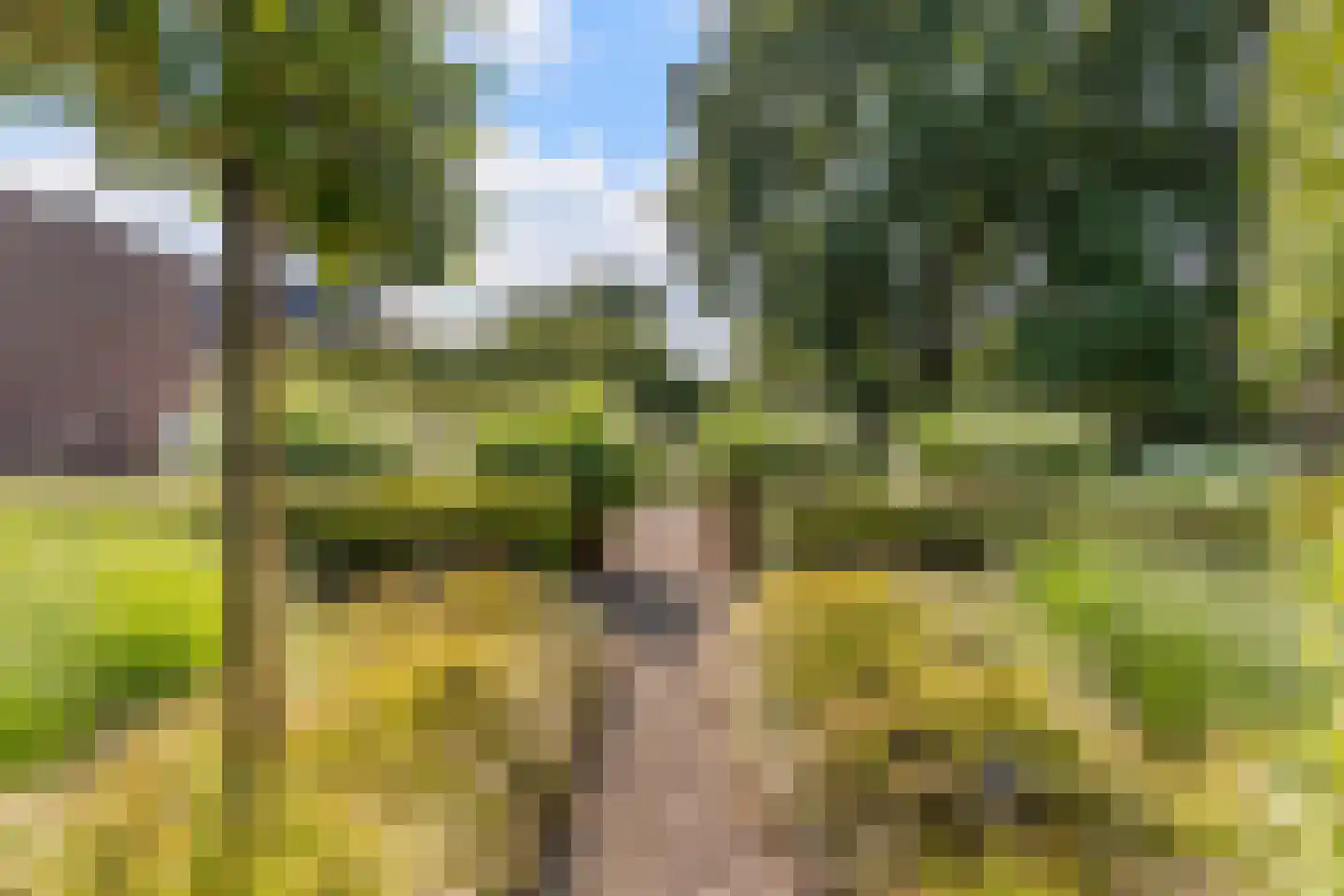 De Vlasroot 10 Valkenswaard thumbnail 42