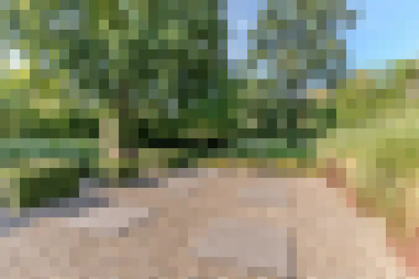De Vlasroot 10 Valkenswaard thumbnail 43