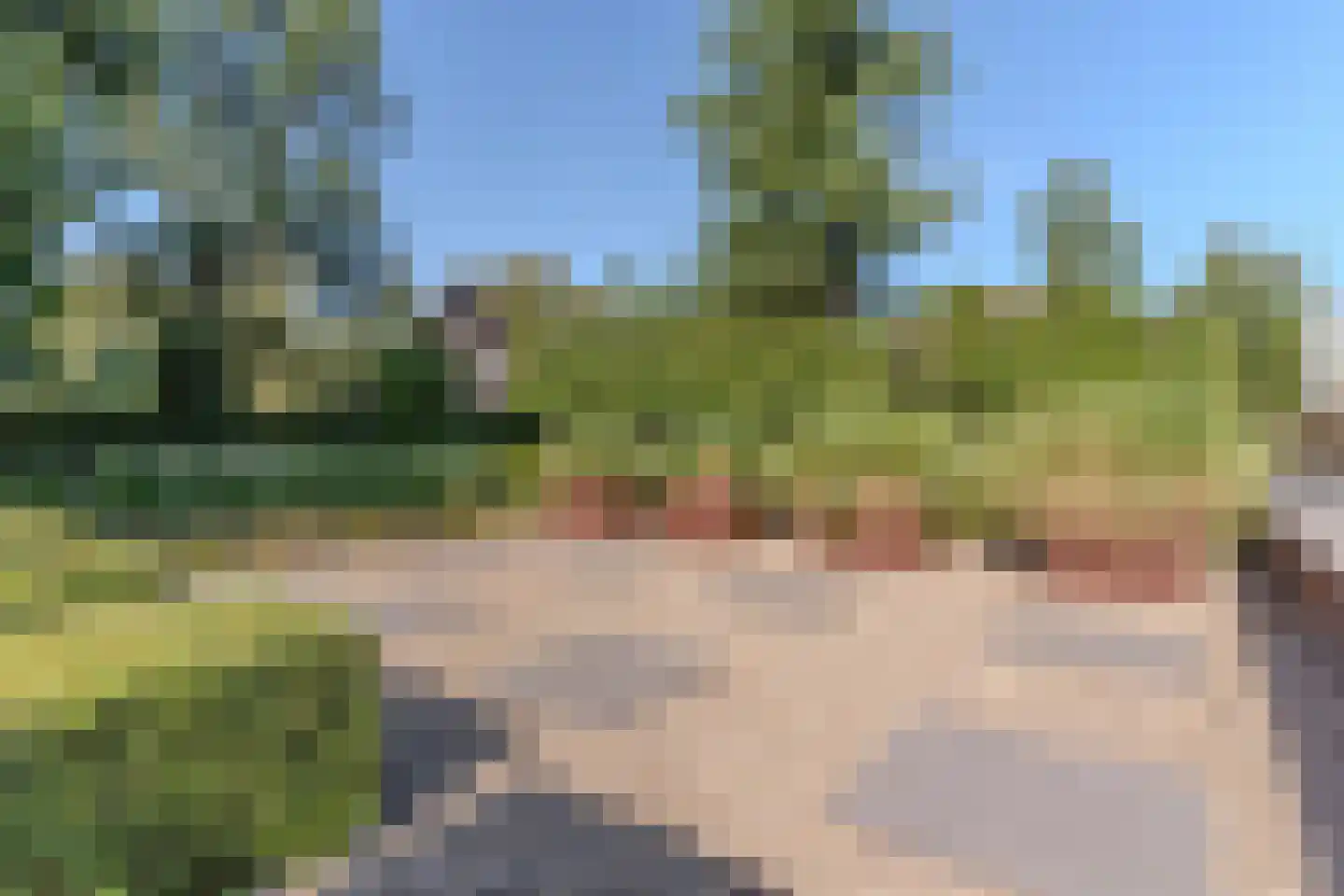 De Vlasroot 10 Valkenswaard thumbnail 44