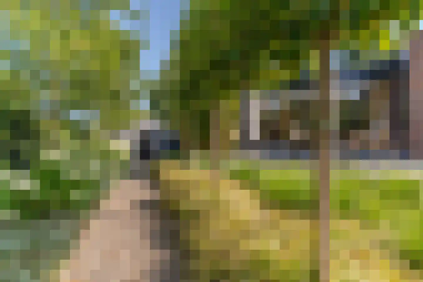 De Vlasroot 10 Valkenswaard thumbnail 45