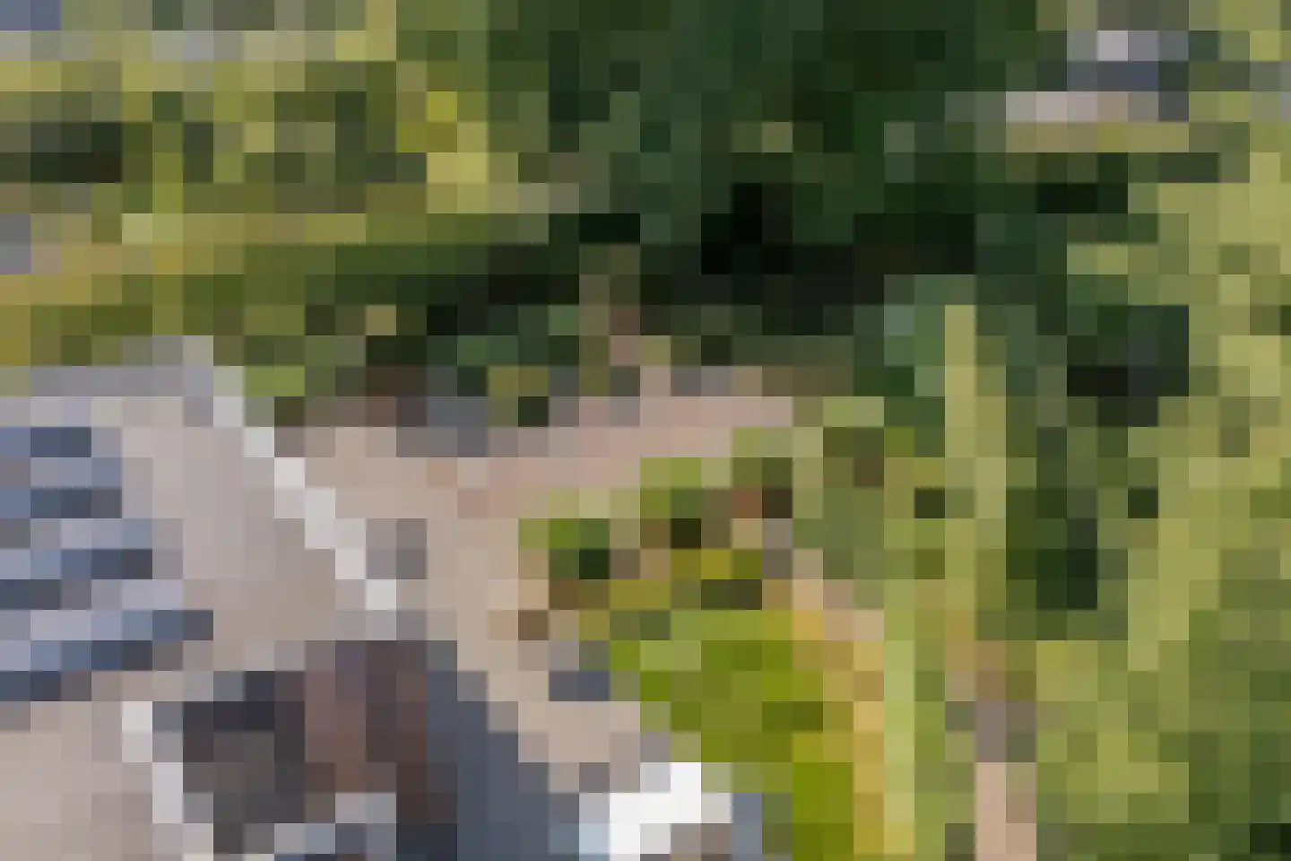 De Vlasroot 10 Valkenswaard thumbnail 51
