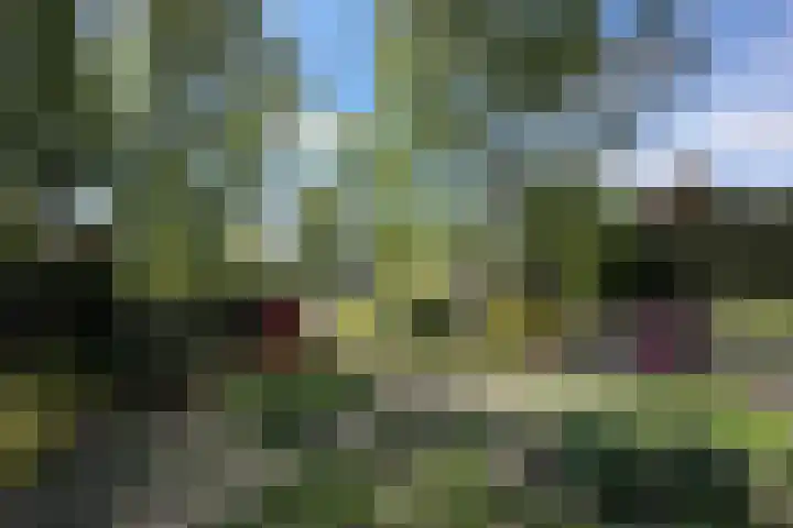 De Vlasroot 11 Valkenswaard thumbnail 10