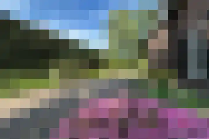 De Vlasroot 11 Valkenswaard thumbnail 11