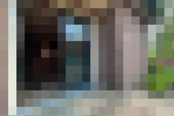 De Vlasroot 11 Valkenswaard thumbnail 13