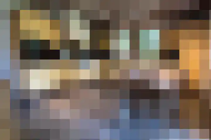 De Vlasroot 11 Valkenswaard thumbnail 30