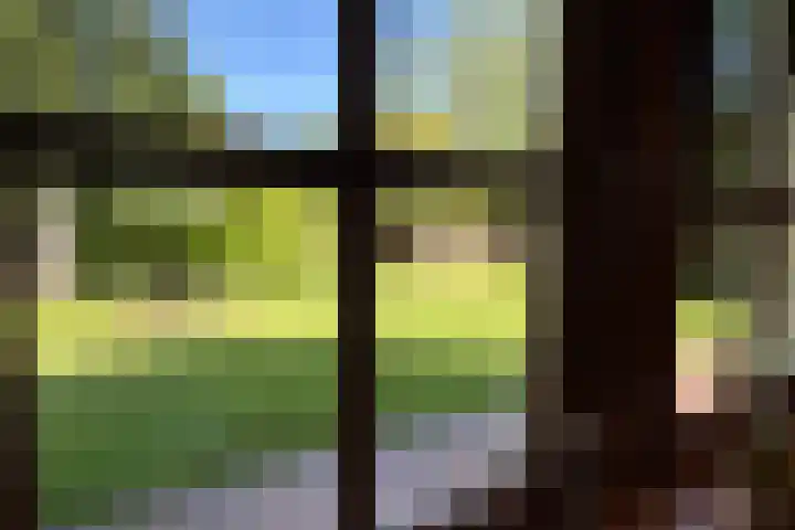 De Vlasroot 11 Valkenswaard thumbnail 32