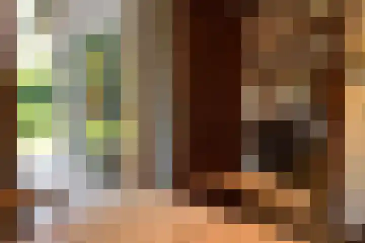 De Vlasroot 11 Valkenswaard thumbnail 33