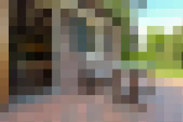De Vlasroot 11 Valkenswaard thumbnail 35
