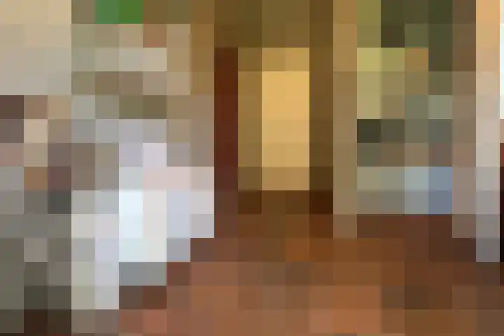 De Vlasroot 11 Valkenswaard thumbnail 37