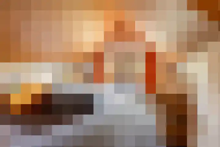 De Vlasroot 11 Valkenswaard thumbnail 39