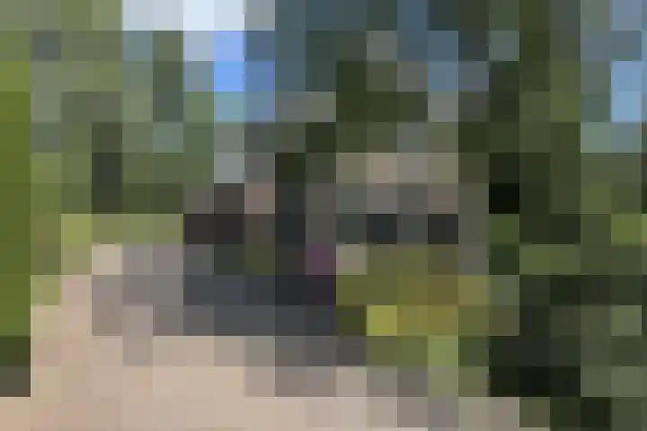 De Vlasroot 11 Valkenswaard thumbnail 4
