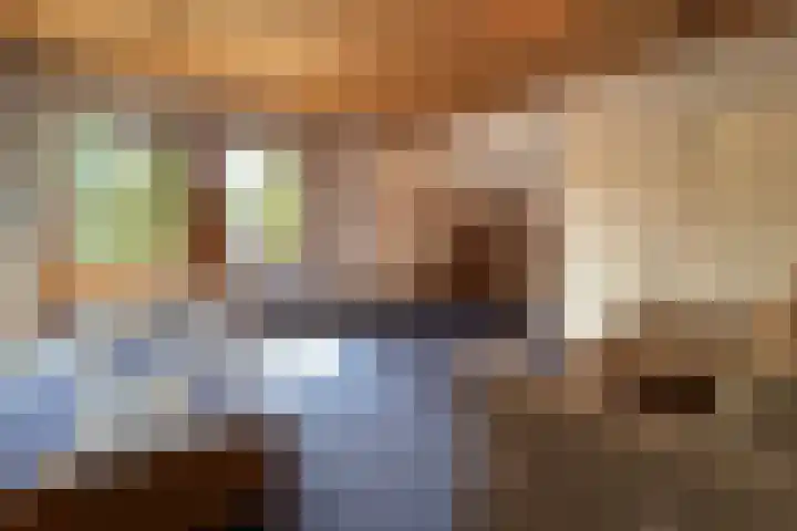 De Vlasroot 11 Valkenswaard thumbnail 43