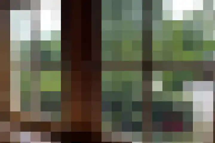 De Vlasroot 11 Valkenswaard thumbnail 44