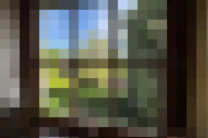 De Vlasroot 11 Valkenswaard thumbnail 47
