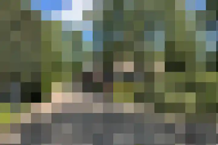 De Vlasroot 11 Valkenswaard thumbnail 5