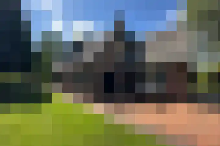 De Vlasroot 11 Valkenswaard thumbnail 52