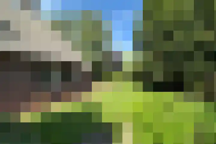 De Vlasroot 11 Valkenswaard thumbnail 53