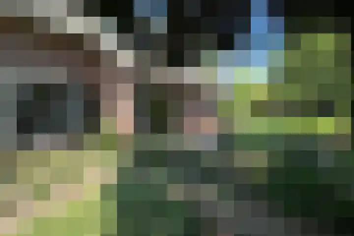 De Vlasroot 11 Valkenswaard thumbnail 54