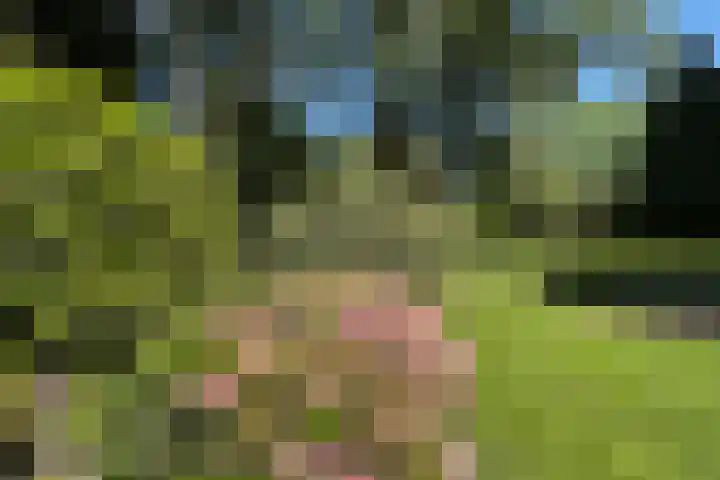 De Vlasroot 11 Valkenswaard thumbnail 55