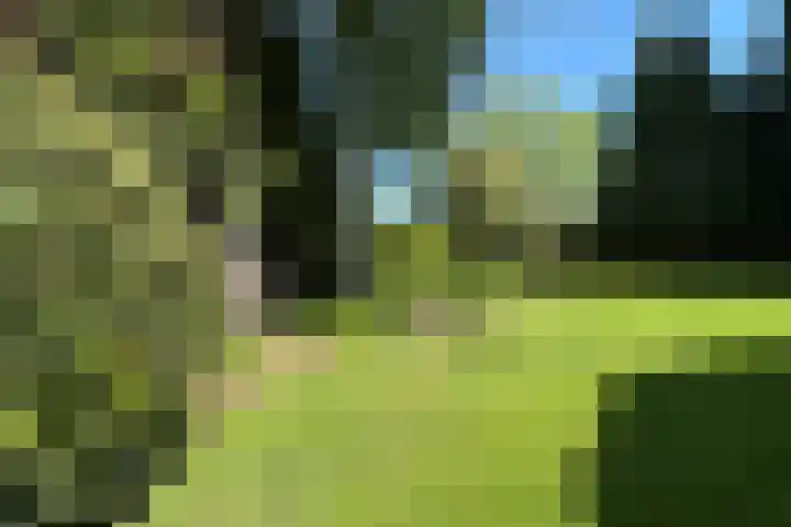 De Vlasroot 11 Valkenswaard thumbnail 56
