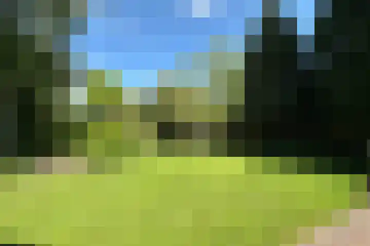 De Vlasroot 11 Valkenswaard thumbnail 57