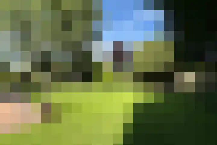 De Vlasroot 11 Valkenswaard thumbnail 58