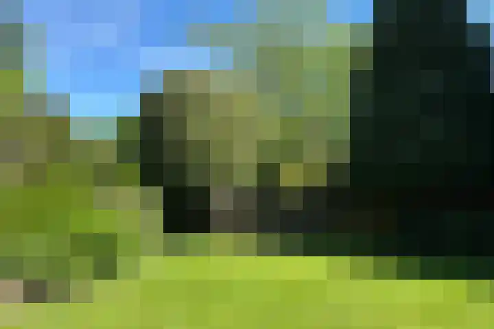 De Vlasroot 11 Valkenswaard thumbnail 59