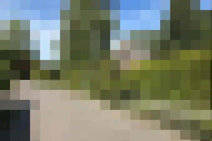 De Vlasroot 11 Valkenswaard thumbnail 60