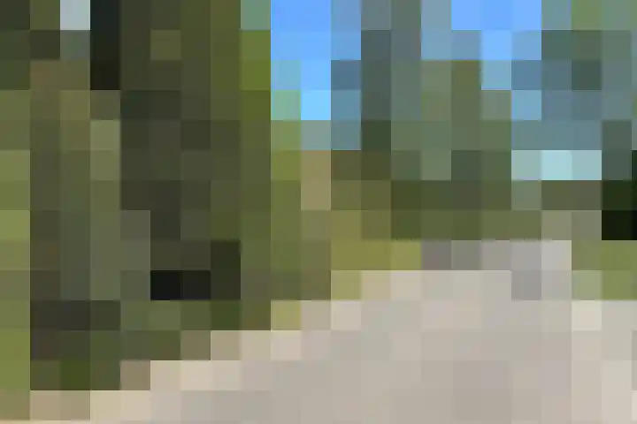 De Vlasroot 11 Valkenswaard thumbnail 61