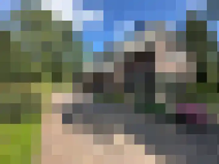 De Vlasroot 11 Valkenswaard thumbnail 65