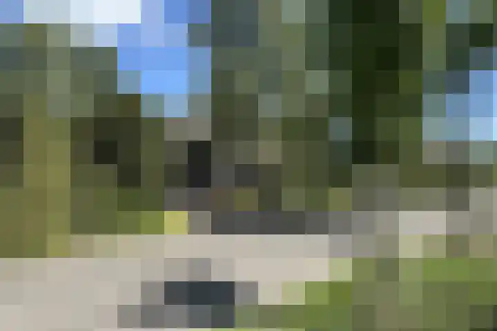 De Vlasroot 11 Valkenswaard thumbnail 8