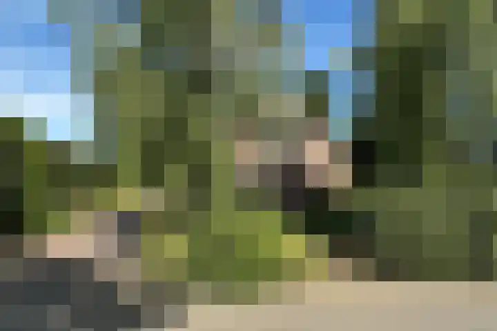 De Vlasroot 11 Valkenswaard thumbnail 9