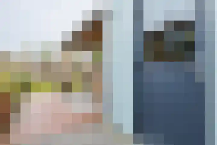 De Vlecke 27 Gorredijk thumbnail 17