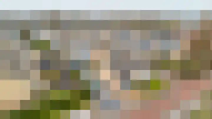 De Vlecke 27 Gorredijk thumbnail 19