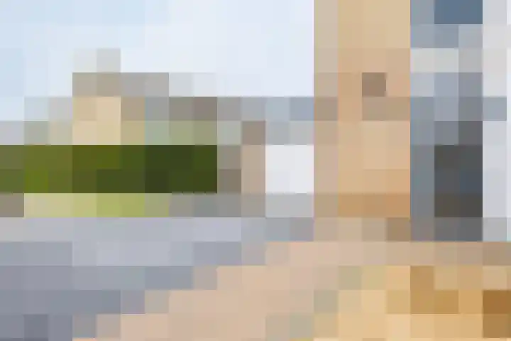 De Vlecke 27 Gorredijk thumbnail 21