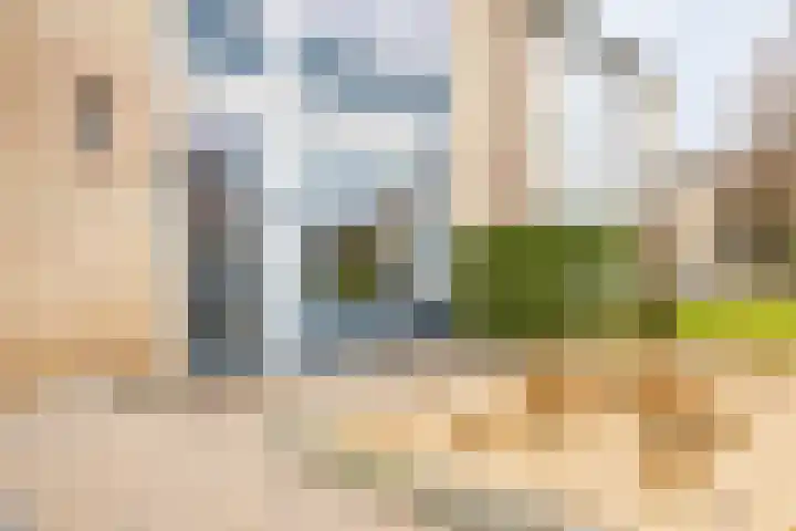 De Vlecke 27 Gorredijk thumbnail 22