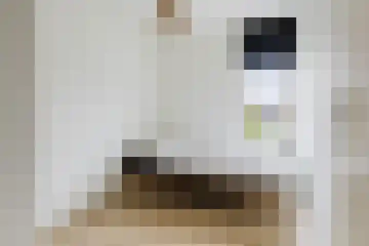De Vlecke 27 Gorredijk thumbnail 46