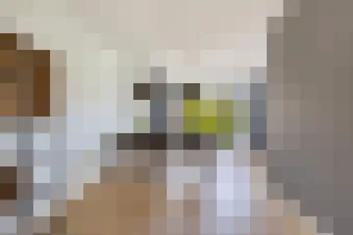 De Vlecke 40 Gorredijk thumbnail 14