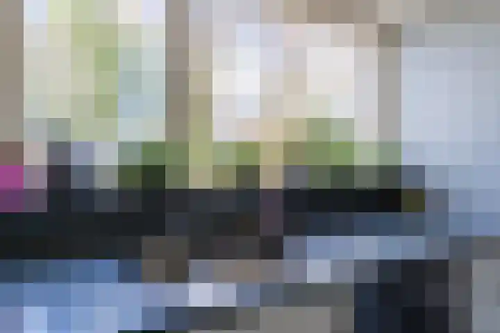 De Vlecke 40 Gorredijk thumbnail 16