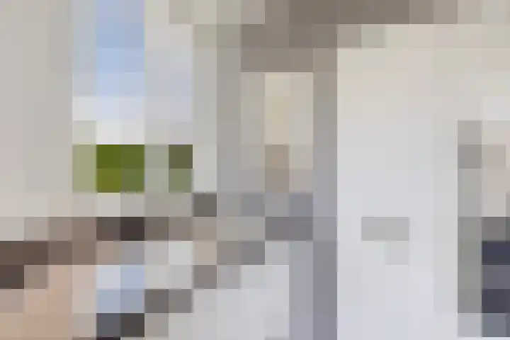 De Vlecke 40 Gorredijk thumbnail 17