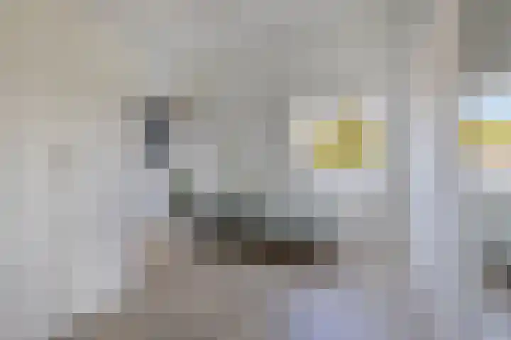 De Vlecke 40 Gorredijk thumbnail 23