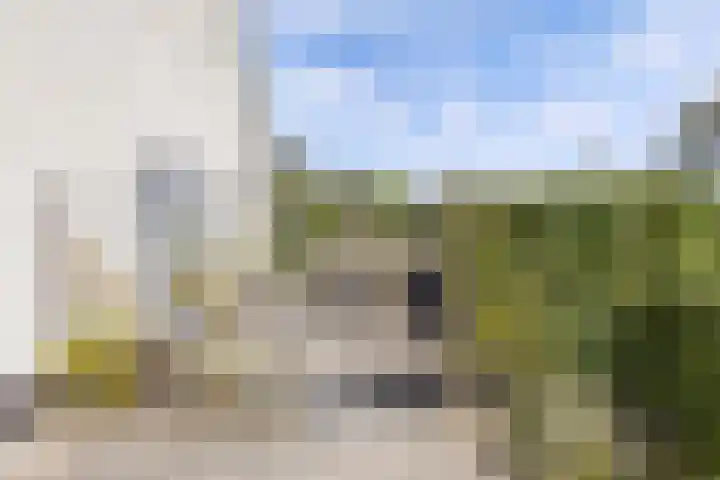 De Vlecke 40 Gorredijk thumbnail 32