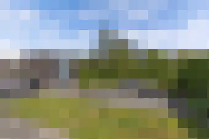 De Vlecke 40 Gorredijk thumbnail 35